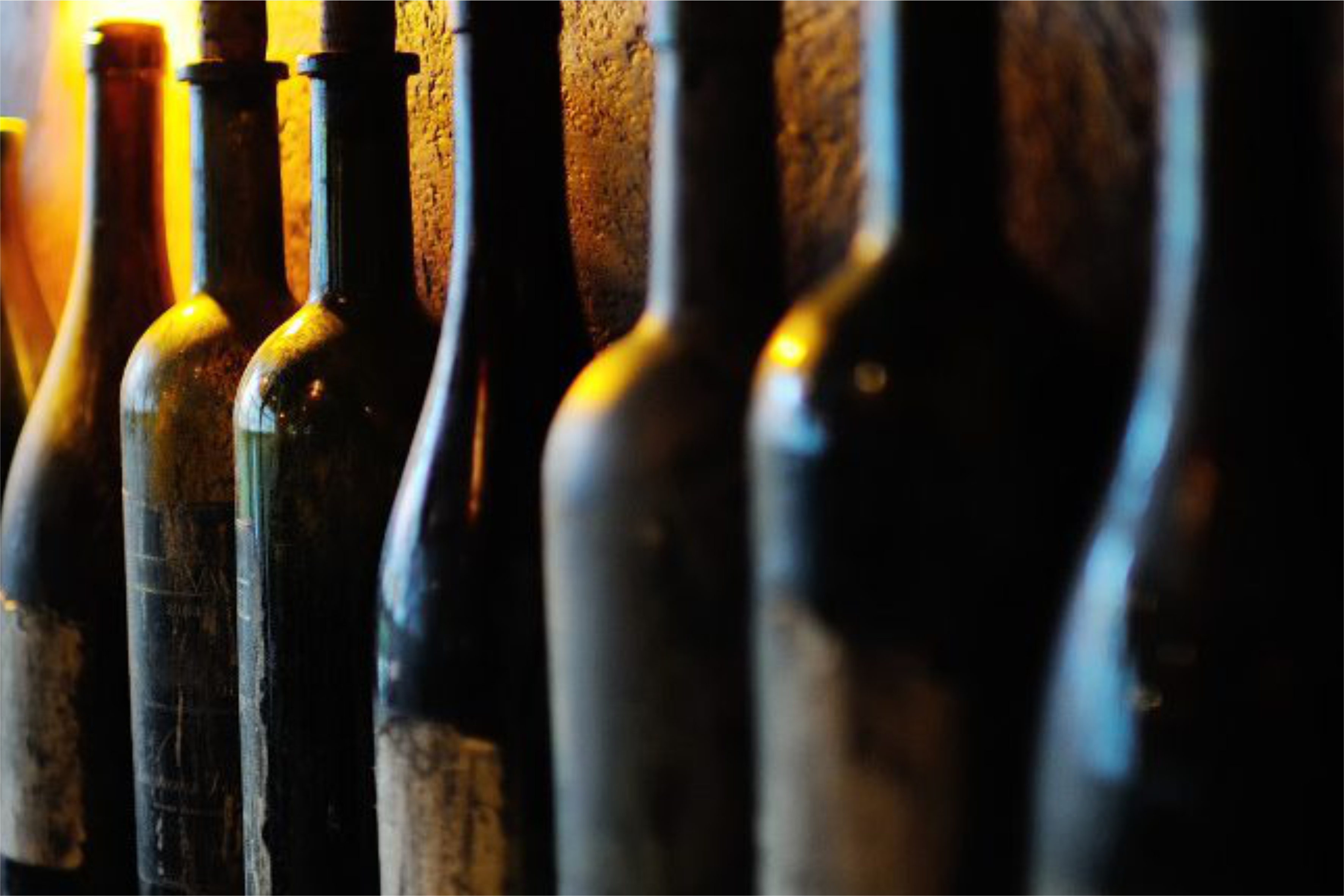 Dark coloured bottles lined up on a shelf