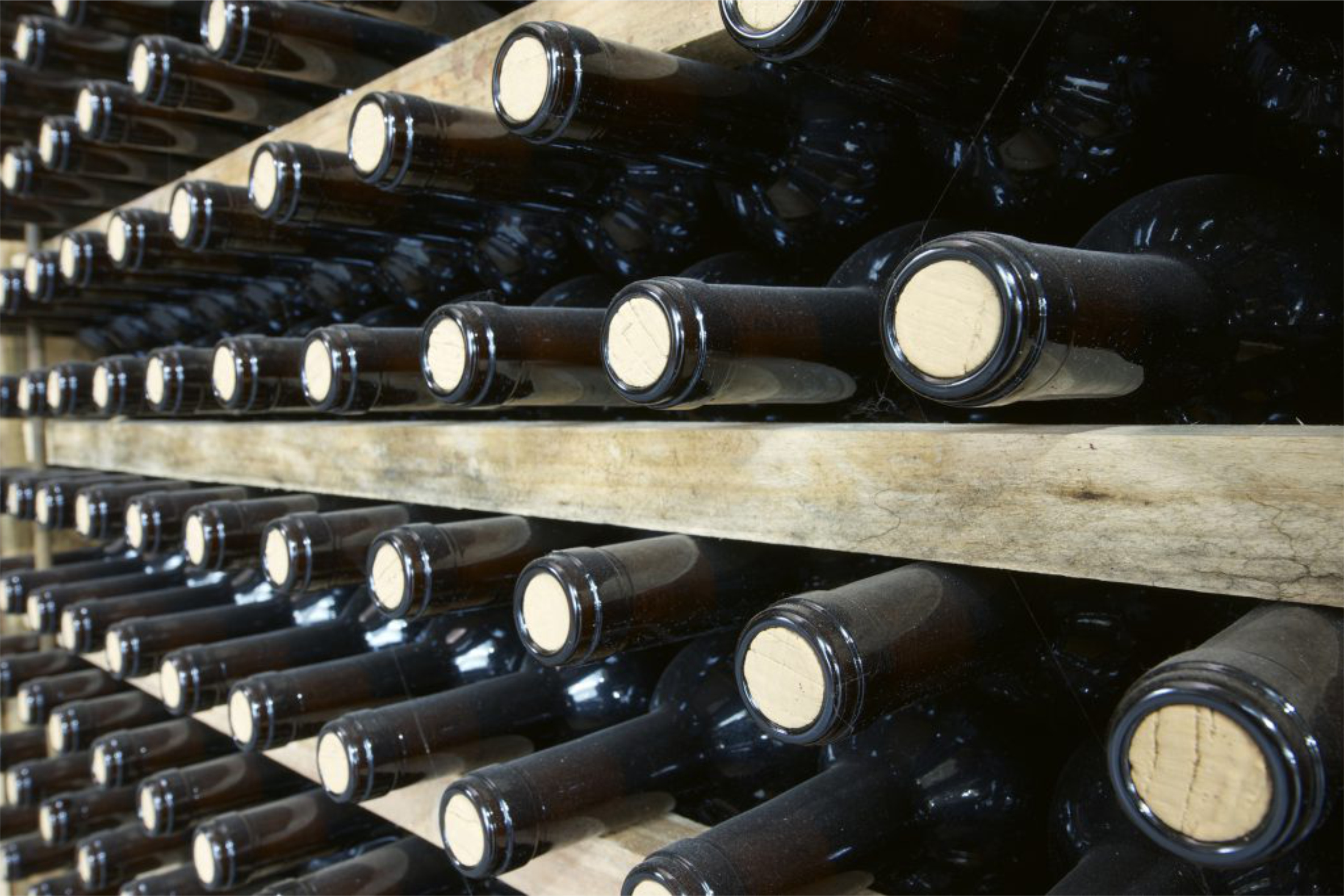 Corked bottles on a wine rack